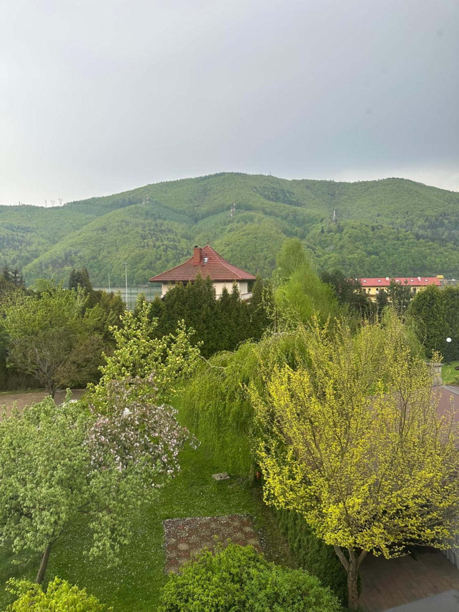 Pokoje Maria Miedzybrodzie Bialskie Exterior photo